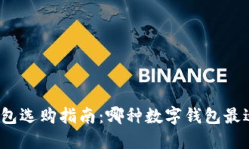 数字钱包选购指南:哪种数字钱包最适合你?