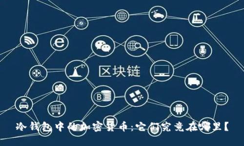 冷钱包中的加密货币:它们究竟在哪里?