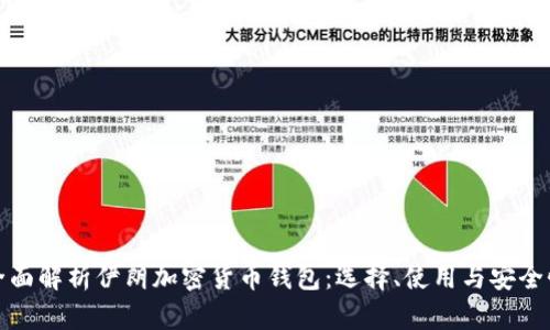 全面解析伊朗加密货币钱包：选择、使用与安全性