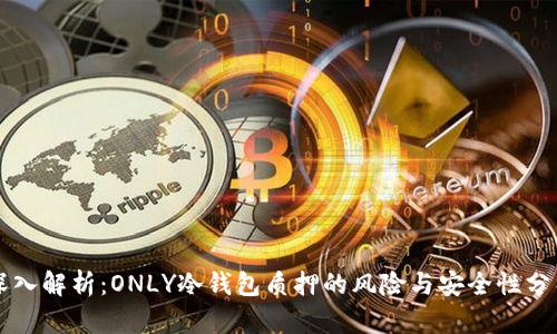 深入解析:ONLY冷钱包质押的风险与安全性分析