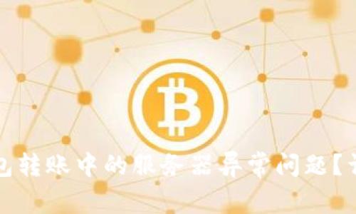 如何解决冷钱包转账中的服务器异常问题?详尽指南与解析