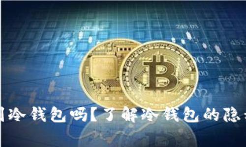警方能查到冷钱包吗?了解冷钱包的隐私和安全性
