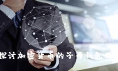 深入探讨加密货币的子母