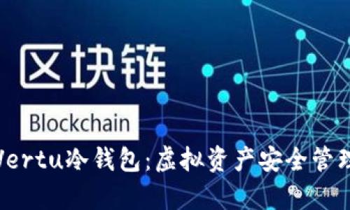 深入解析Vertu冷钱包:虚拟资产安全管理的新选择