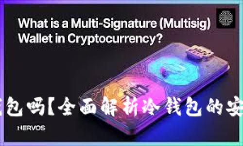 手机可以装冷钱包吗?全面解析冷钱包的安全性与使用方式