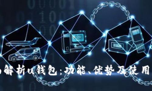 全面解析u钱包:功能、优势及使用指南