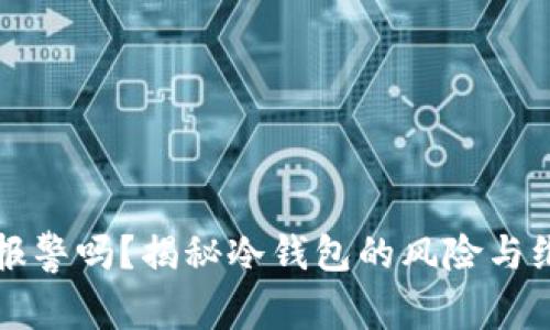 冷钱包骗局能报警吗?揭秘冷钱包的风险与维护安全的方法