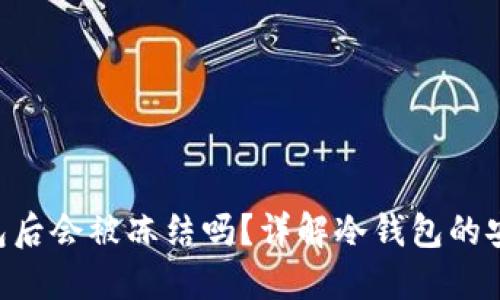 黑币(U)进冷钱包后会被冻结吗?详解冷钱包的安全性与冻结机制
