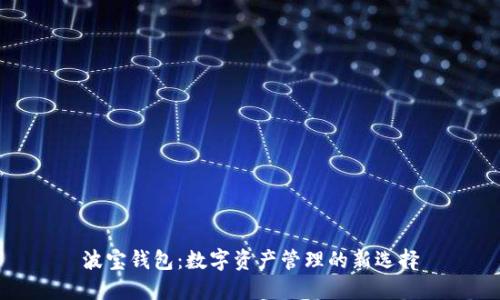 波宝钱包:数字资产管理的新选择