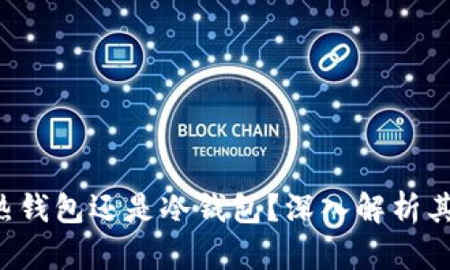 Safepal: 是热钱包还是冷钱包?深入解析其安全性与功能
